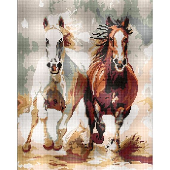 Алмазная мозаика "Чувственный забег" ©art_selena_ua AMO20044, 40х50 см