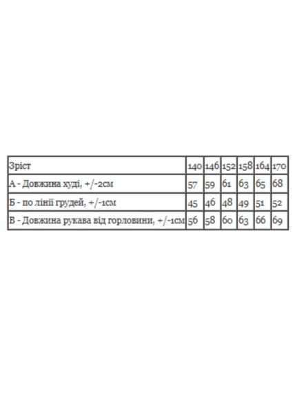 Худі для хлопчика (підлітковий) Носи своє 146 Чорний (p-17719-208596) | Зображення 3