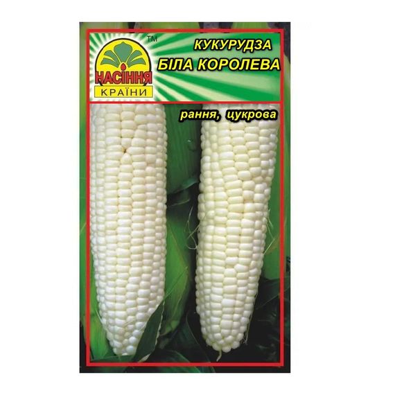 Насіння кукурудзи Біла королева 20 г (Насіння країни)