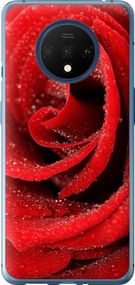 Чехол на OnePlus 7T Красная роза "529u-1809-17620"