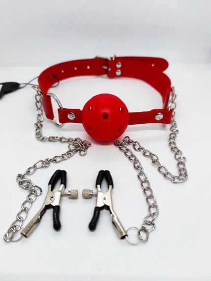 Кляп DS Fetish Ball gag with nipple clamps red Sex Aura