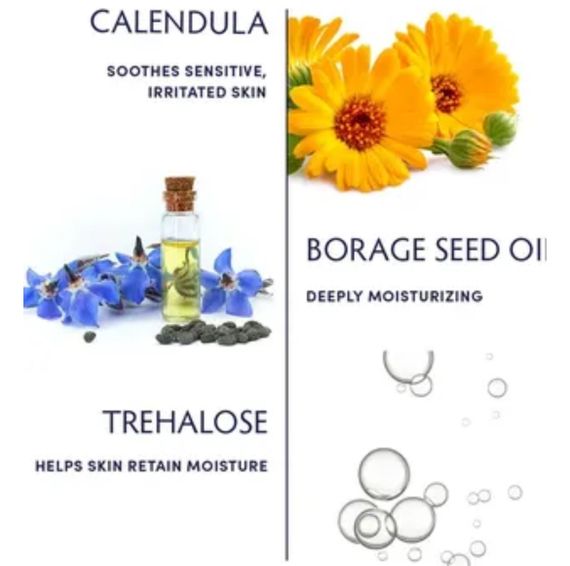 Крем для обличчя naturopathica CALENDULA ESSENTIAL HYDRATING CREAM, 5 мл | Зображення 1