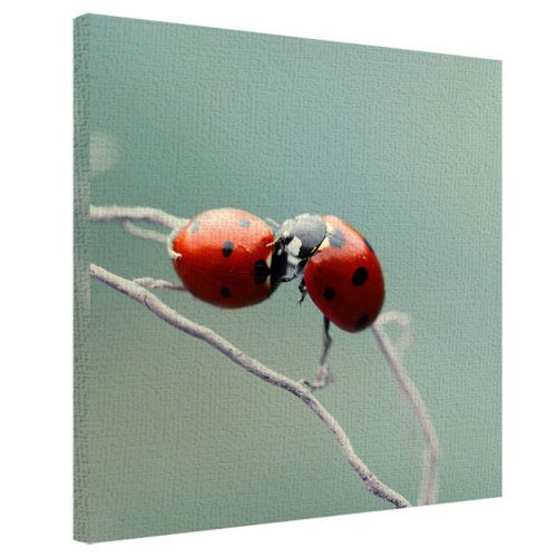 Картина на холсте Божьи коровки 50x50 см (H5050_ZVR020)