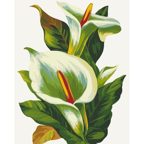 Картина по номерам без подрамника "Белые каллы" 13128-ACNF 40х50 см