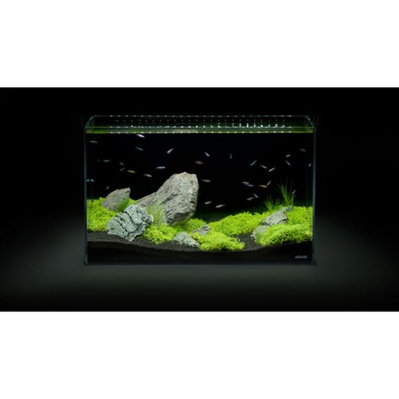 Акваріумний набір Aqua Set 66 літрів | Зображення 7