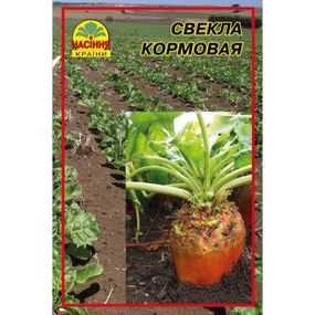 Насіння буряка кормового Рекорд полі 20 г (Насіння країни)