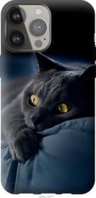 Чохол для Apple iPhone 13 Pro Max з силікону FCh_032306