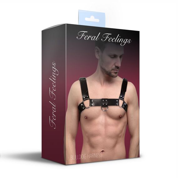 Чоловіча портупея на груди з натуральної шкіри Feral Feelings - Bulldog Harness Black | Зображення 2