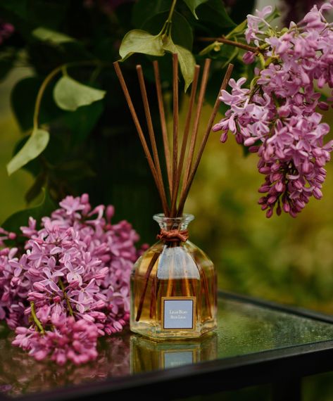 Blue Lilac (Блакитний бузок) аромадифузор Collines de Provence, 100 мл | Зображення 1