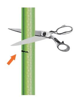 Адаптер для коннектора для поливочного шланга 3/4"-5/8" Claber | Зображення 3