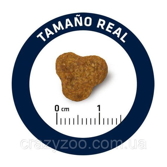 Сухий корм для Йоркширських тер'єрів Advance Dog Yorkshire з куркою та рисом 1.5 кг 8410650170480 | Зображення 4