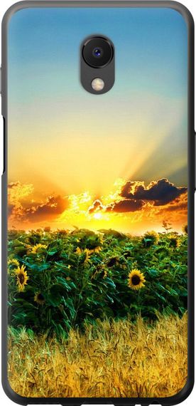 Чехол на Meizu M6s Украина "1601u-1364-17620"