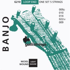 Струни для банджо Gallistrings G210 (.009-.022), Steel