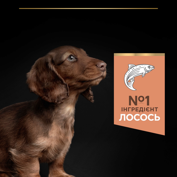 Сухий корм Purina PRO PLAN Small&Mini Puppy для цуценят собак дрібних порід із чутливою шкірою, лосось 3кг | Зображення 5