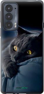 Чохол на Motorola Edge 20 Димчастий кіт "825u-2497-2448"