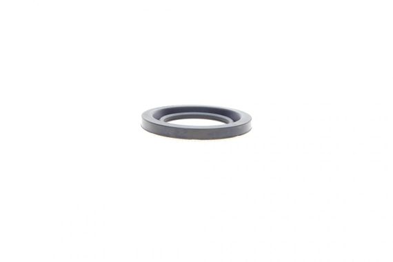 Ремкомплект суппорта переднего Jeep Grand Cherokee 06-10 d=44mm  244064 | Зображення 1