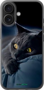 Чохол на iPhone 16 Димчастий кіт "825u-3709-2448"