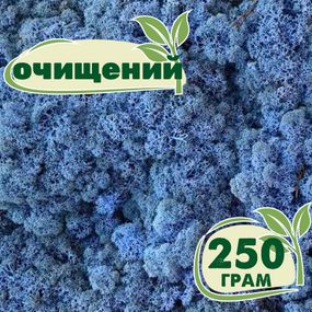 Очищенный стабилизированный мох ягель Nordic moss Лавандовый 250 грамм