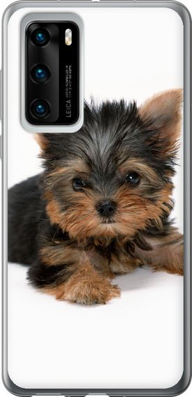 Чехол на Huawei P40 Щенок йоркширского терьера "931u-1840-17620"