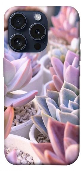 Чохол з картинкою Ехеверія 2 для Apple iPhone 15 Pro (6.1")