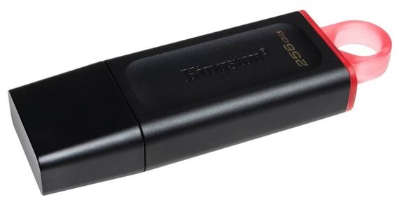Flash Drives Kingston DataTraveler Exodia 256GB USB 3.2 (DTX/256GB) Black/Pink (DTX/256GB) | Зображення 1