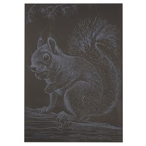 Гравюра А5 "Белочка" ГрА5с-22 эконом вариант в пакете 21 х 14,8 см