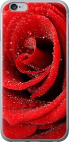 Чехол на iPhone 6s Plus Красная роза "529u-91-17620"