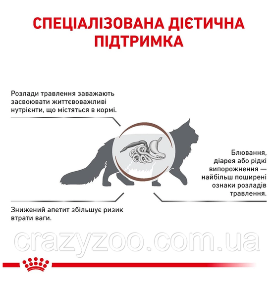 Сухий корм для котів Royal Canin Gastro Intestinal 2 кг 39050201 | Зображення 2