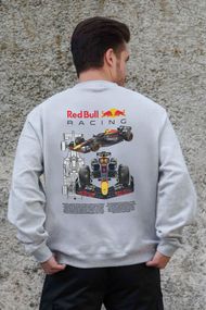 Утеплений оверсайз світшот на флісі з принтом Without Redbull Gray