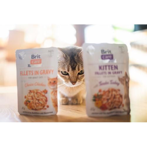 Вологий корм для кошенят Brit Care Kitten Fillets in Gravy Tender Turkey філе в соусі індичка, 85 г | Зображення 2