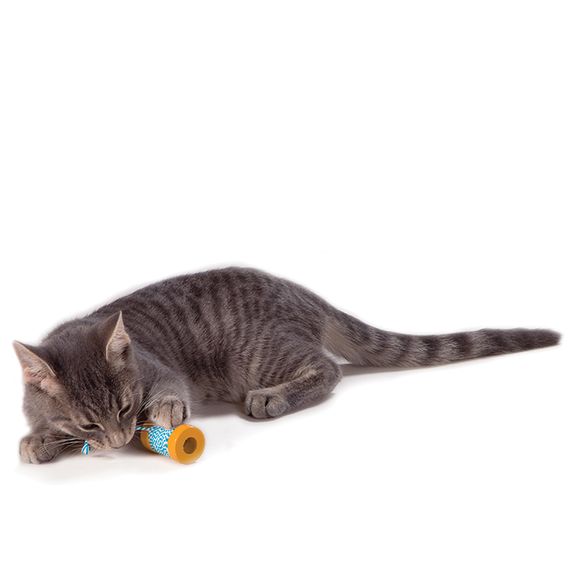 Іграшка для котів OutwardHound Petstages Orka Spool, 5 см | Зображення 1