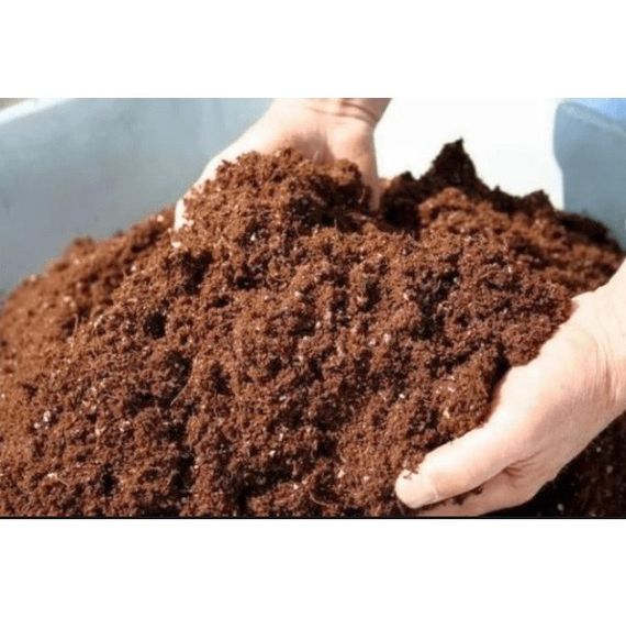 Грунт Троянда 2,5 л | Зображення 1