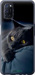 Чохол на Oppo A52 Димчастий кіт "825t-1930-2448"