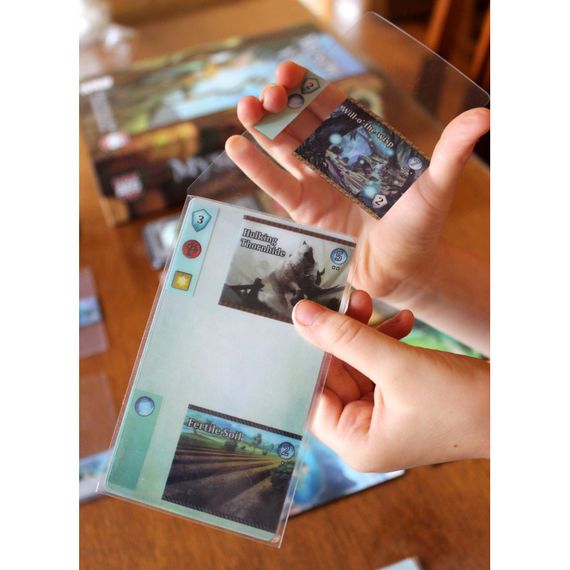 Настільна гра Містична Долина (Mystic Vale) | Зображення 3