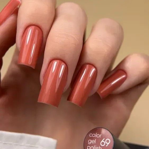 Гель-лак Valeri 069 "Теракотовий сироп" 6мл | Зображення 1