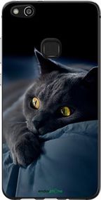 Чохол на Huawei P10 Lite Димчастий кіт "825u-896-2448"