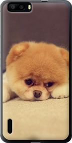 Чехол на Huawei Honor 6 Plus Boo 2 "890u-179-17620"