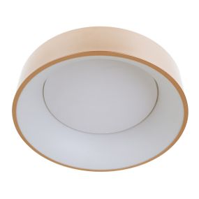 Светильник светодиодный настенно-потолочный накладной WBL-28C/30W*2 RG