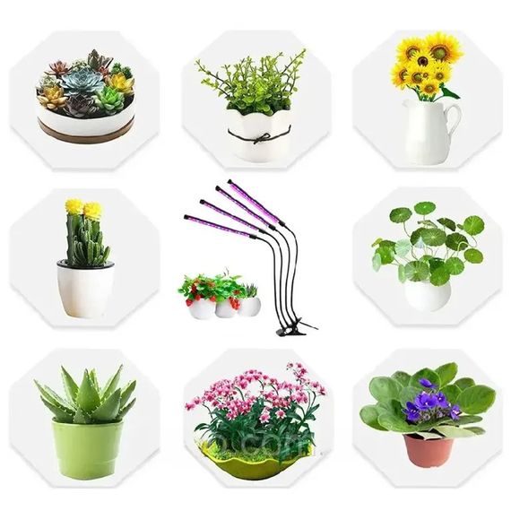 Ультрафіолетова фітолампа з таймером XPRO 80Вт (234572120_446) | Зображення 5