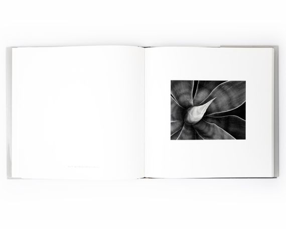 Подарункова книга для фотографів роботи Джона Секстона John Sexton "Recollections" пейзажна фотографія книги | Зображення 9