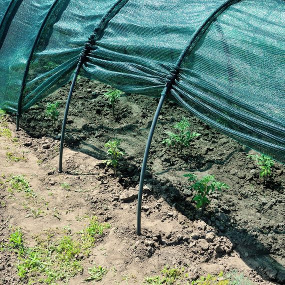 Защита растений от солнца Shadow 4 м 120 х 80 затенение 80% | Зображення 4