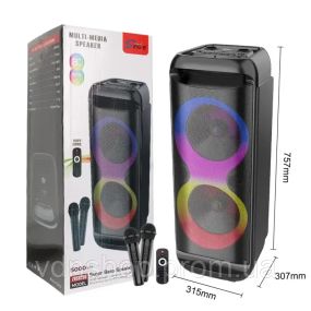 Бездротова караоке-колонка із двома мікрофонами SPS ZQS8288