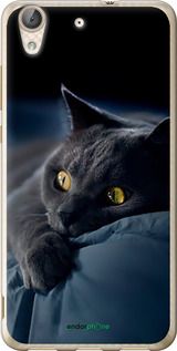 Чохол на Huawei Y6 II Димчастий кіт "825u-338-2448"