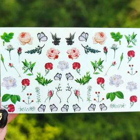 Слайдер B-09 на водяній основі (5x8см)