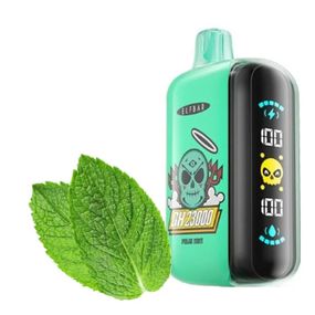 ELF BAR GH 23000 смак Полярна М'ята (Polar Mint) (ws83959-7)