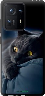 Чохол на Xiaomi Mix 4 Димчастий кіт "825b-2475-2448"