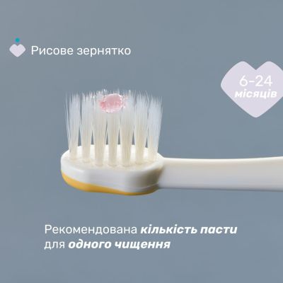 Дитяча зубна щітка Chicco 6-36 міс., 2 шт. бузково/жовта (8058664174706) (12082.00) | Зображення 4