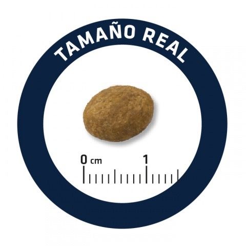 Сухий корм з куркою для цуценят середніх порід Advance Medium Puppy, 12 кг | Зображення 5