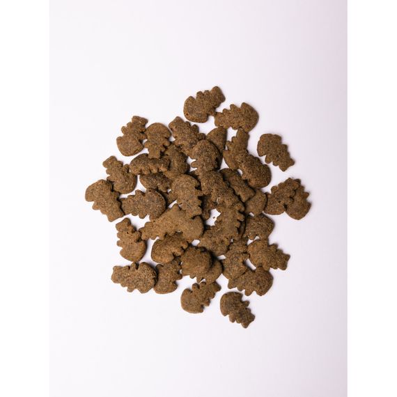 Хрусткі ласощі Savory Skin and Coat with Salmon and Marigolds для собак усіх порід для здоров’я шкіри та шерсті з лососем та | Зображення 1