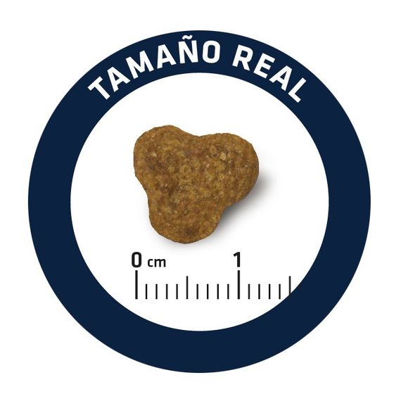 Сухий корм для собак породи йоркширський тер'єр Advance Yorkshire Terrier, 1.5 кг | Зображення 4